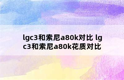 lgc3和索尼a80k对比 lgc3和索尼a80k花质对比